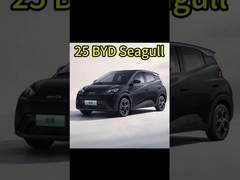 รถไฟฟ้าจีน