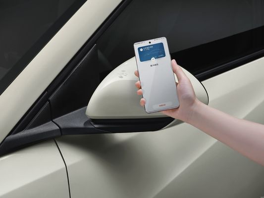 2025 BYD Seagull การขับขี่ที่ปรับปรุงปัญญา การปรับปรุงการปรับปรุงความปลอดภัย